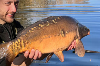 New-Carp-Introduced-at-The-Folly-Main-Lake