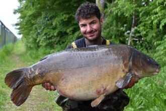 f6d01545-0acb-4183-843f-be7d8be88e5a