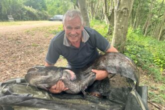 njh catfish june 25
